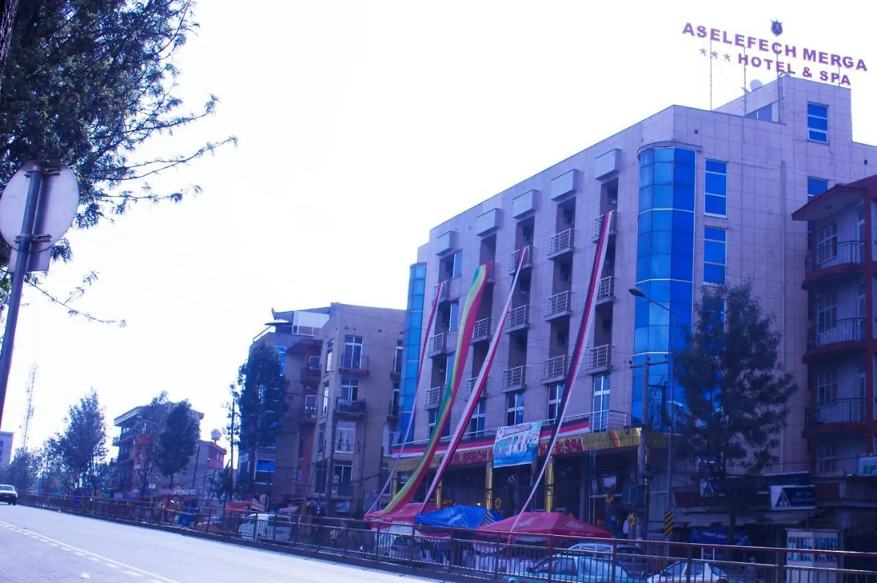 Aselefech Merga Hotel And Spa アジス・アベバ エチオピア
